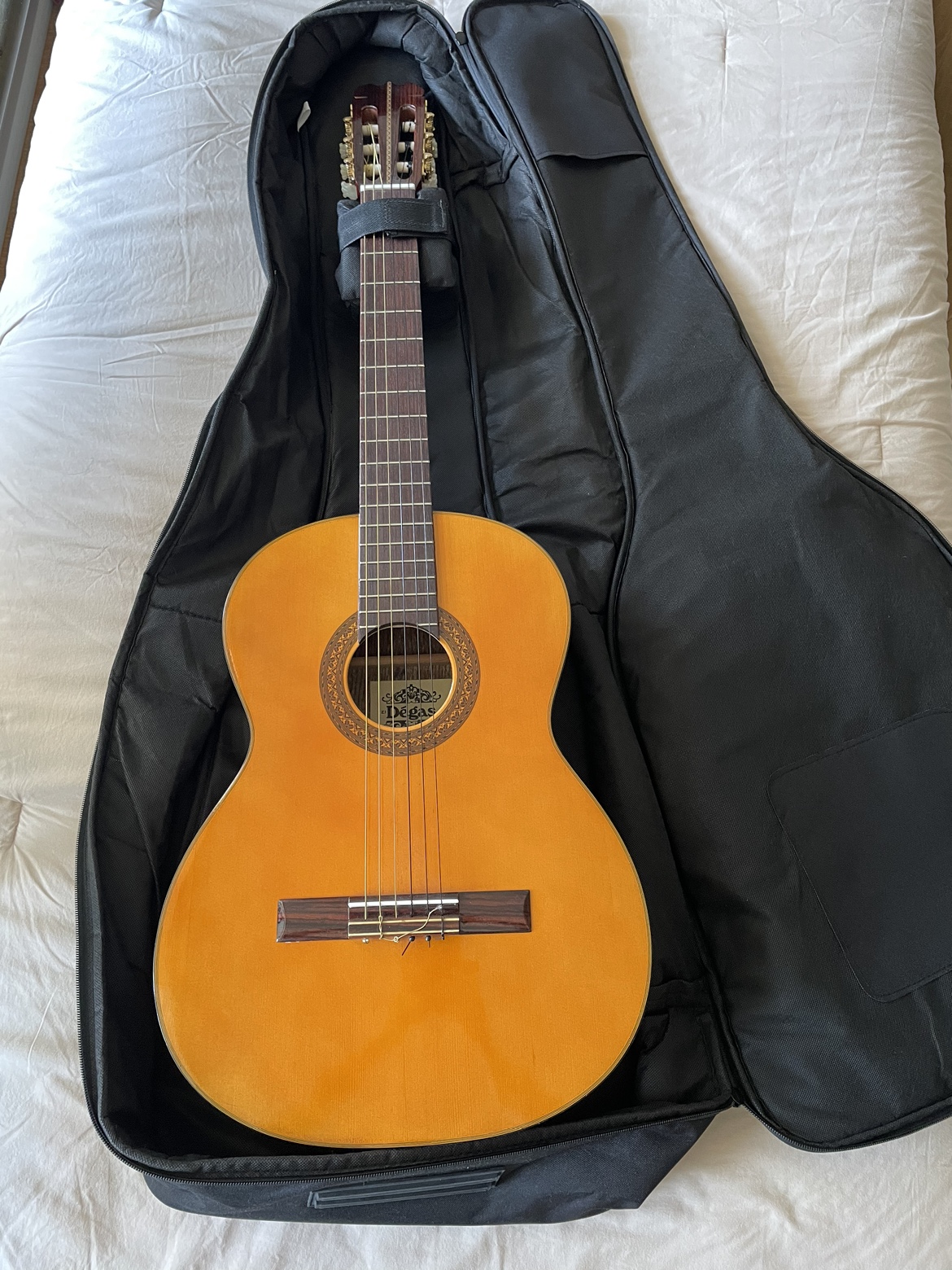 Acoustic Guitar + Carrying Case - photo 4