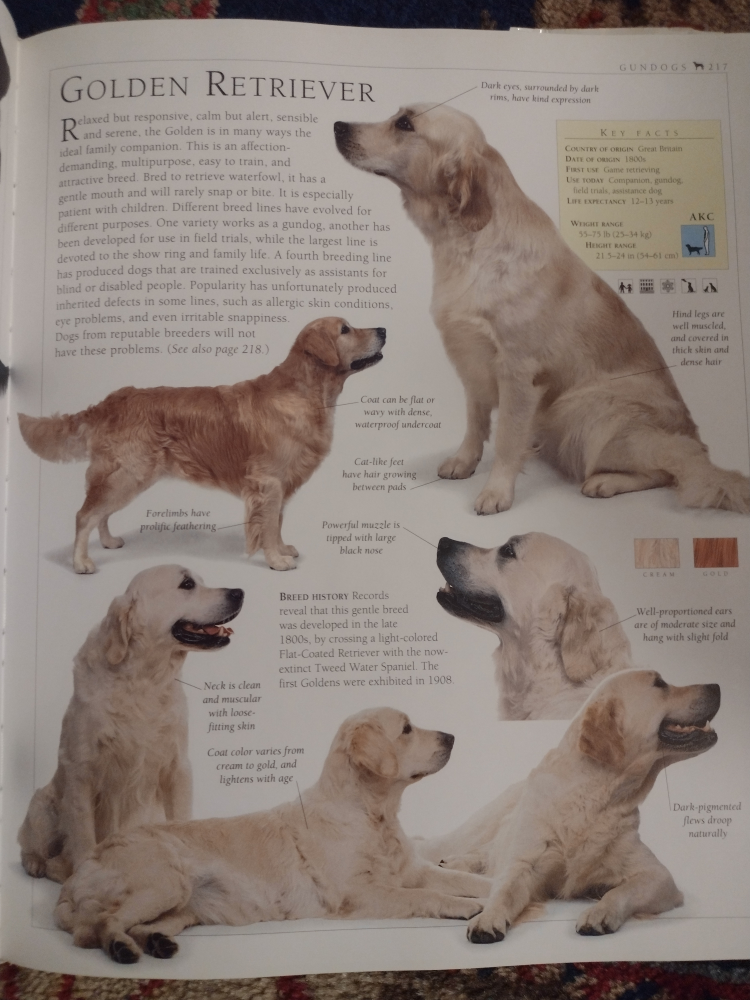 Vintage Encyclopedia Dog book by Bruce Fogle image indicator(3)