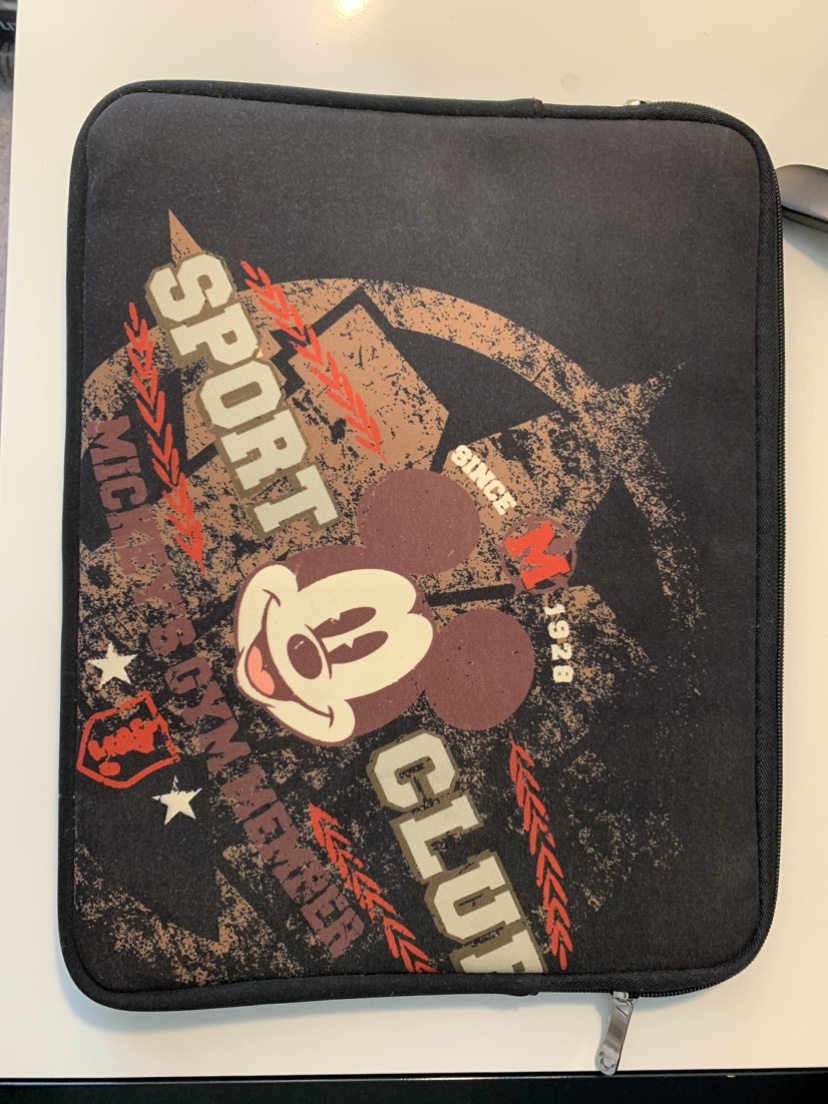 Laptop case (free with any purchase)