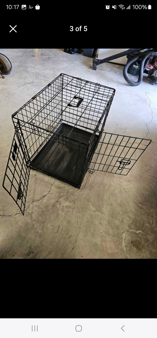 17 x 24 Dog Create - photo 3