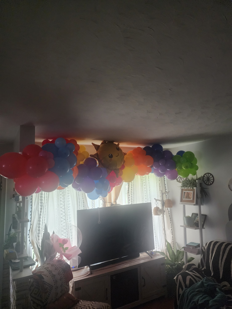 balloon garland - photo 2