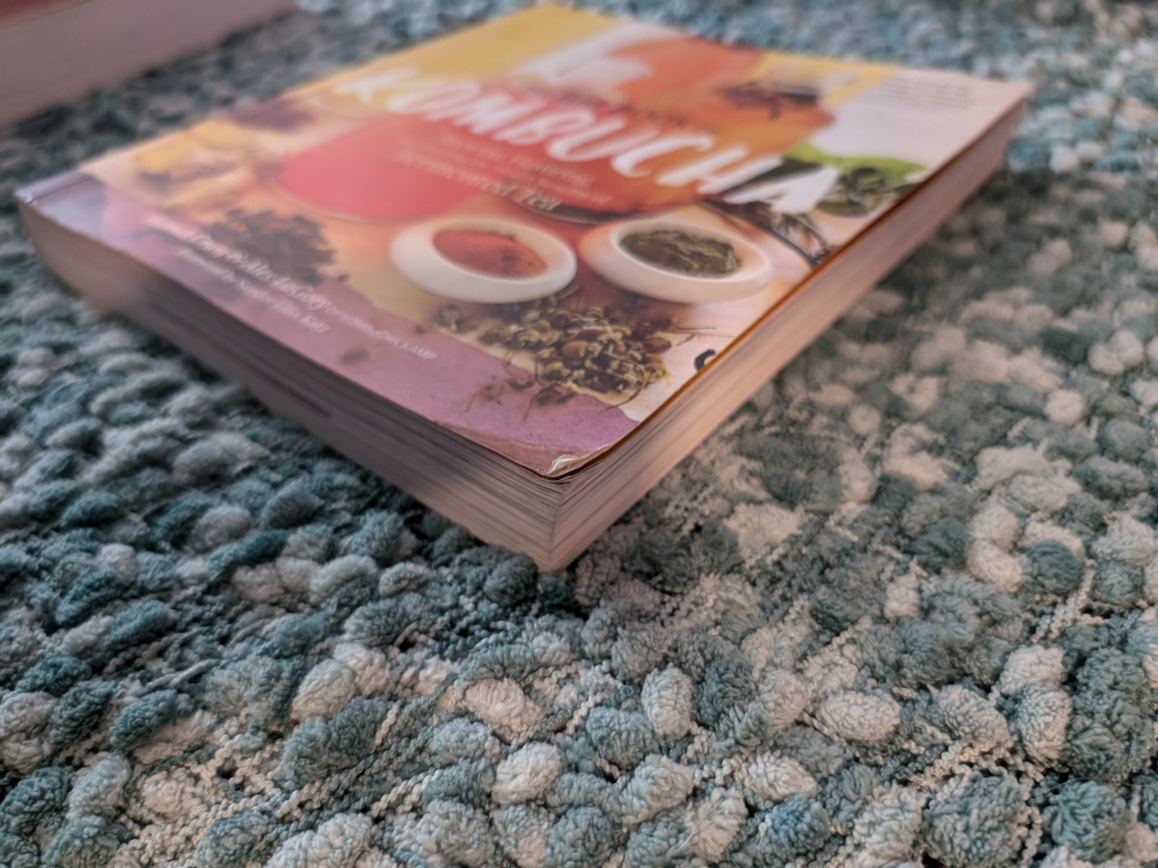 Brand new book in Kombucha making image indicator(2)