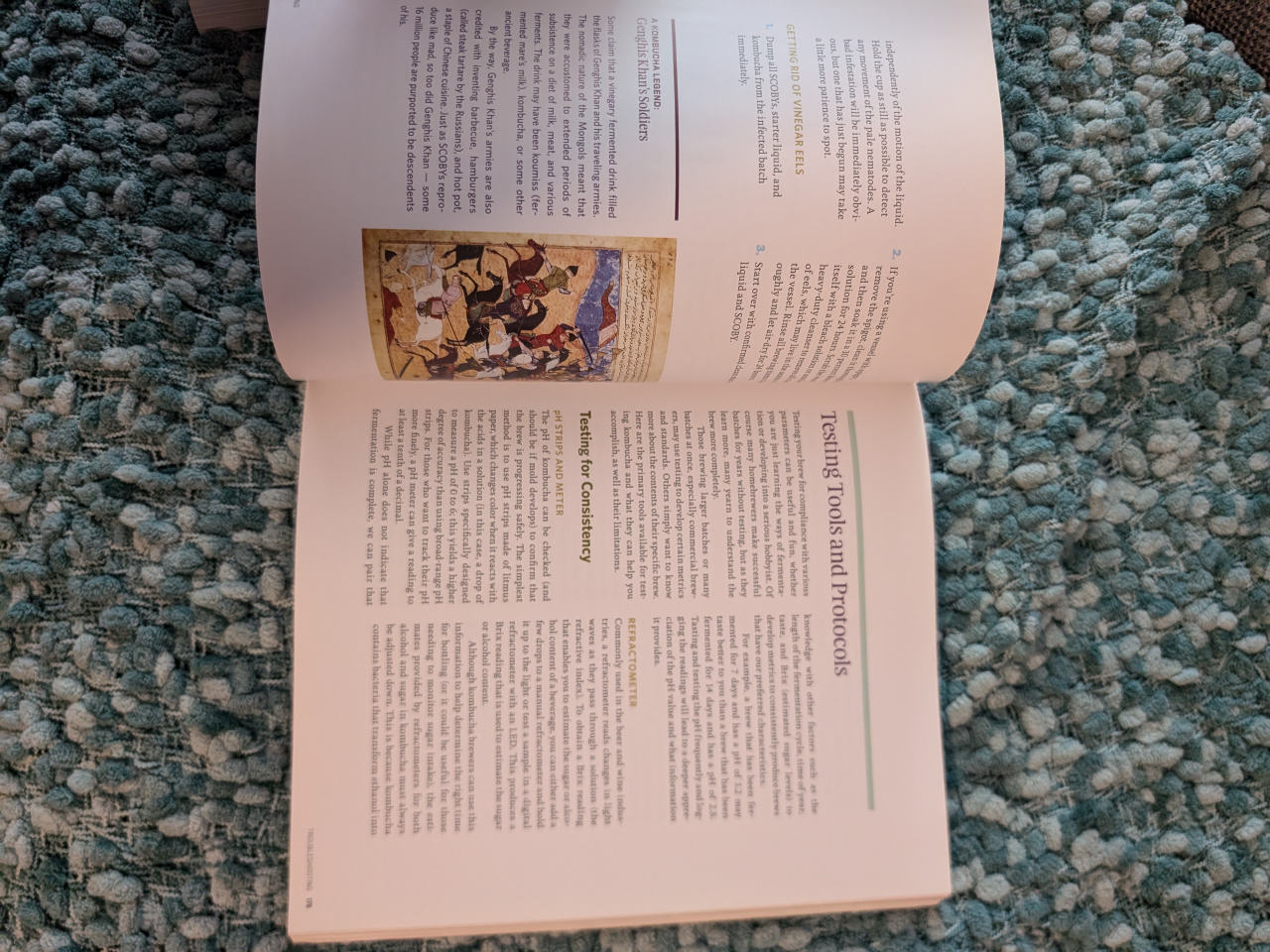 Brand new book in Kombucha making image indicator(4)