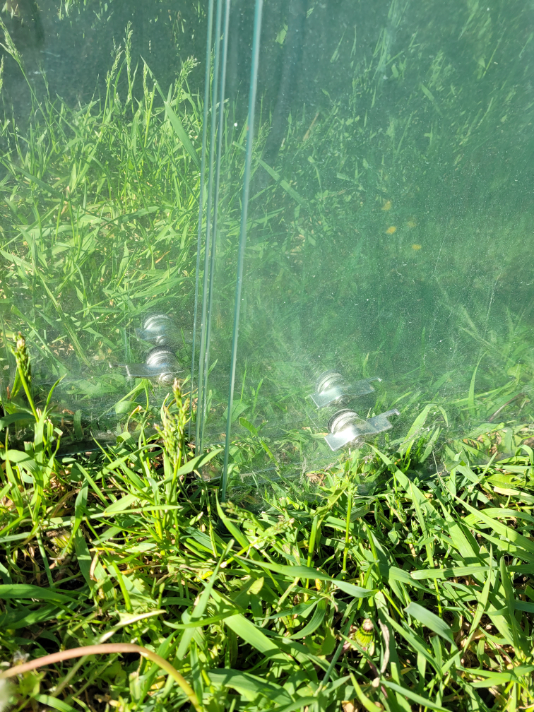 10 glass window panes - photo 2