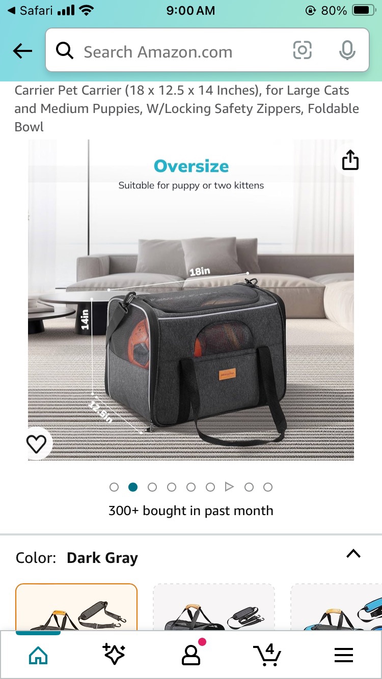 MORPILOT Pet Carrier #freecycle - photo 5