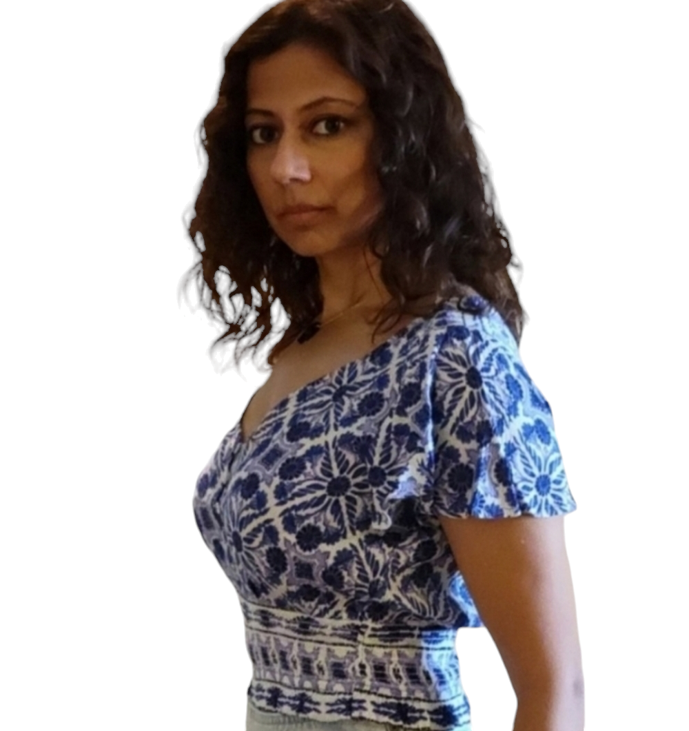 Blue & White V-neck Crop Top Flutter Cap Sleeves Smocked Waist image indicator(2)