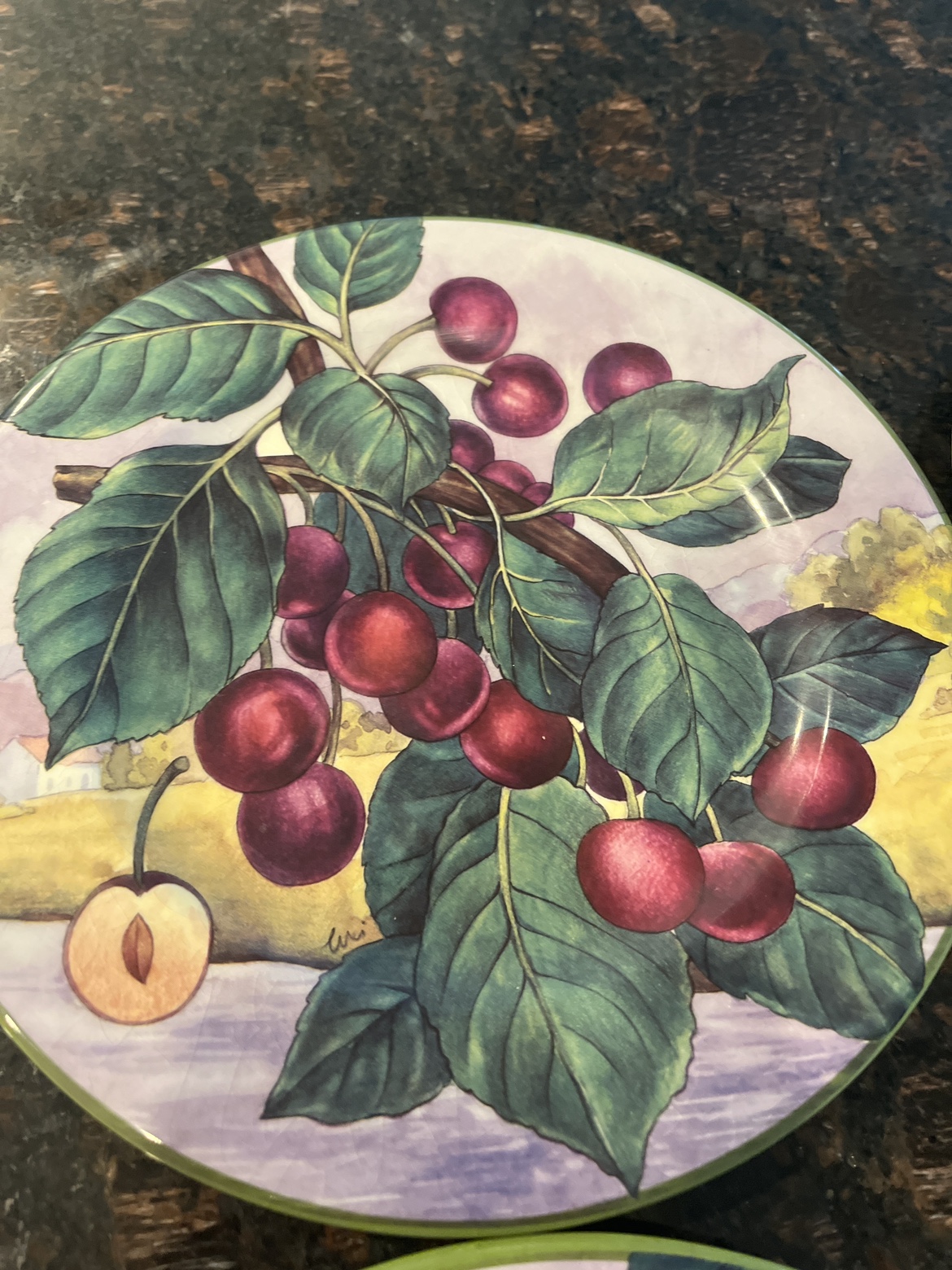 Villa D'Este Plate  Italy Hand Decorated - photo 2