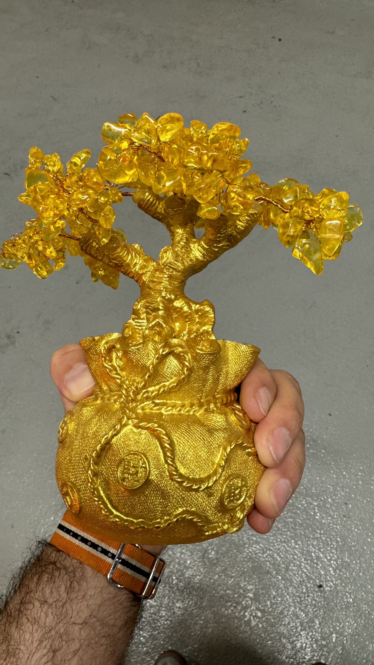 Money tree image indicator(2)