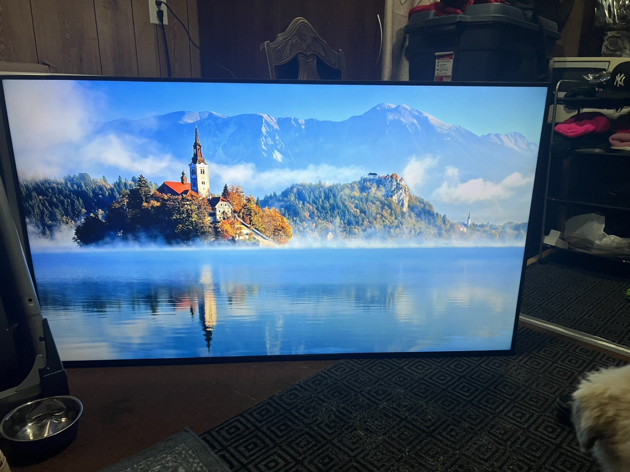 65 inch LG tv - photo 4