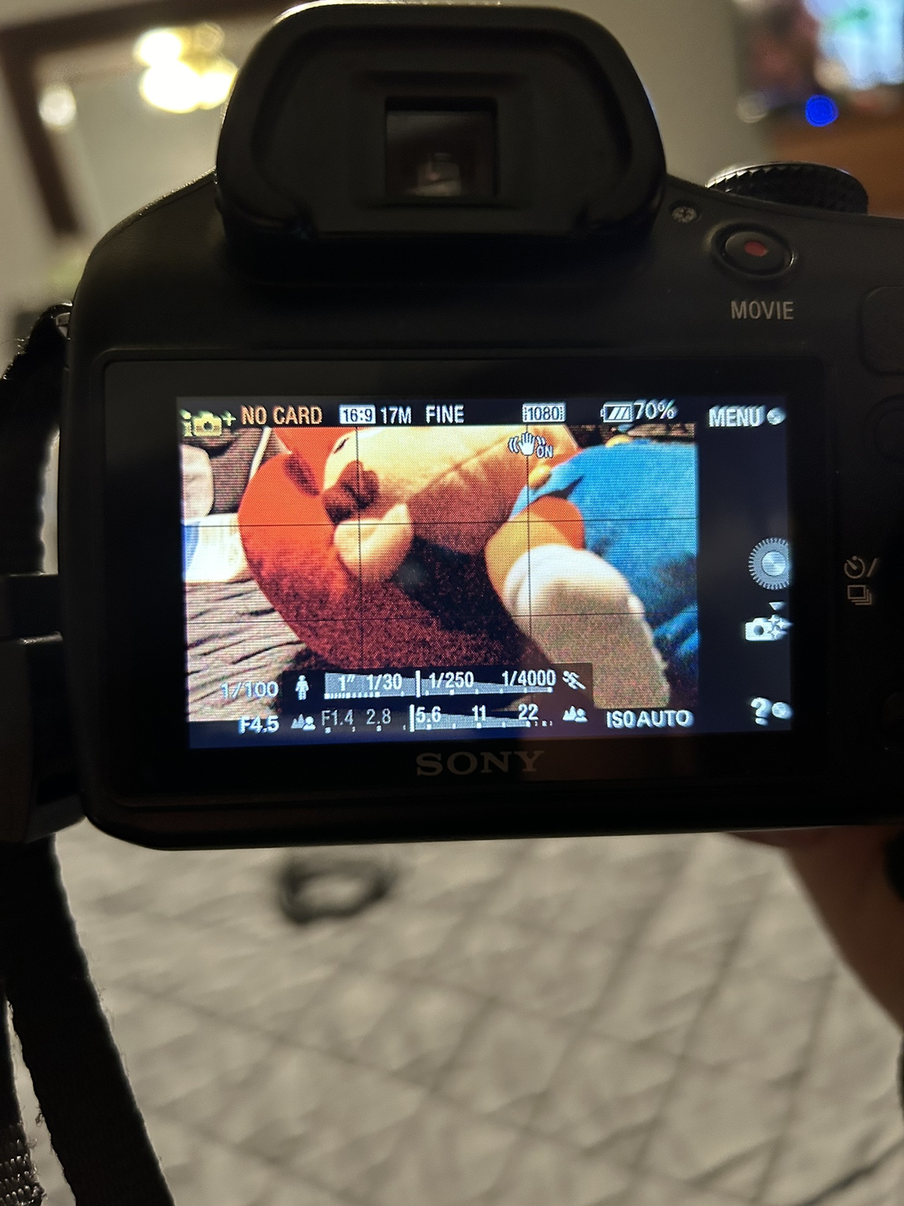 Sony Alpha A3500 20MP Digital Camera image indicator(7)