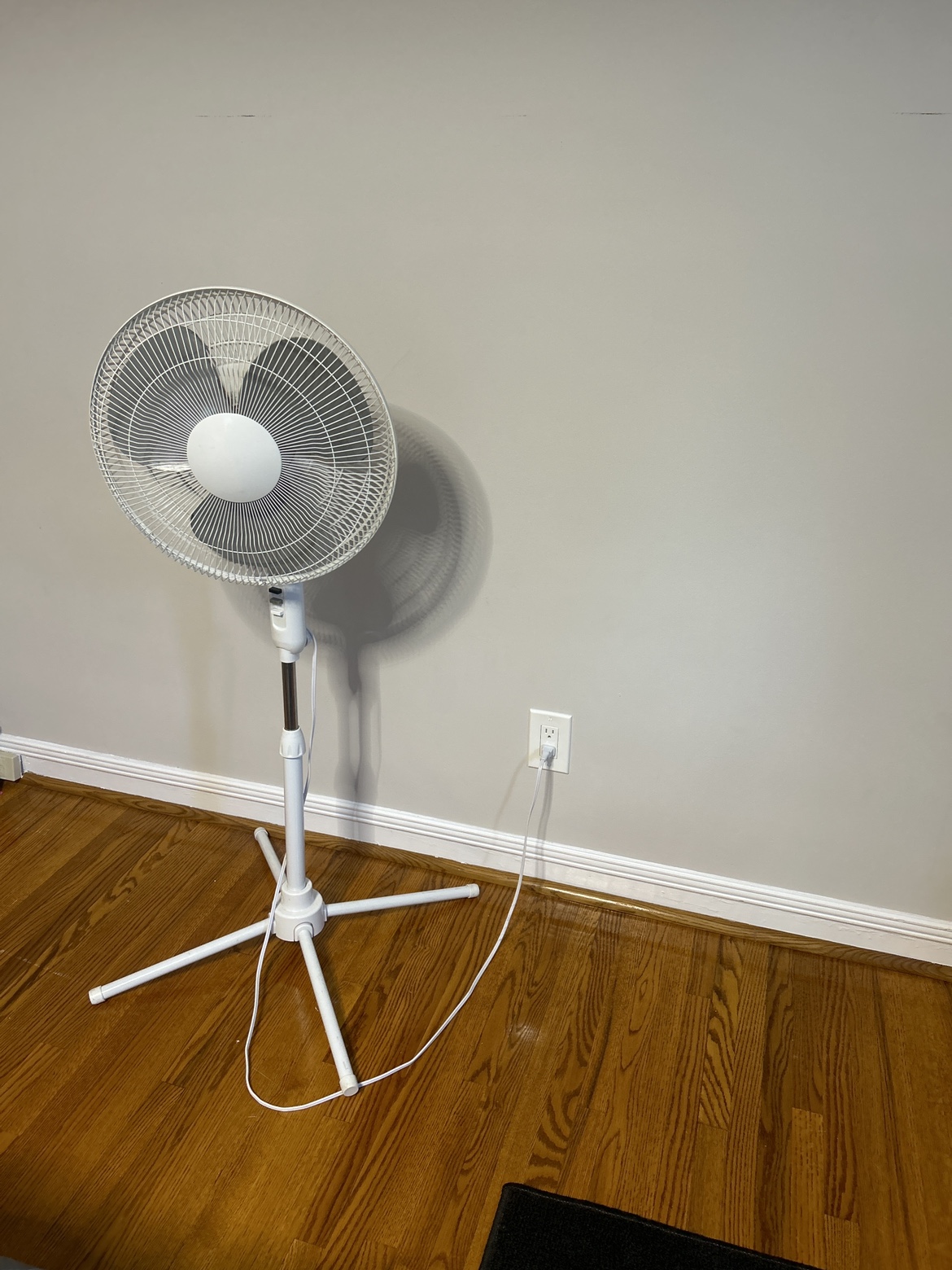 Fan