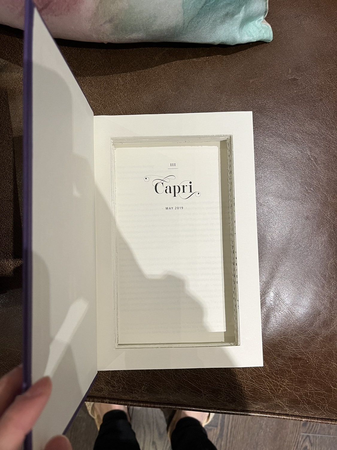 Set of 3 aesthetic hollow staging/diversion safe books! image indicator(3)