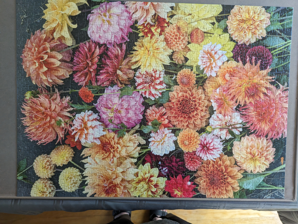 Excellent condition 1000 piece puzzle image indicator(2)
