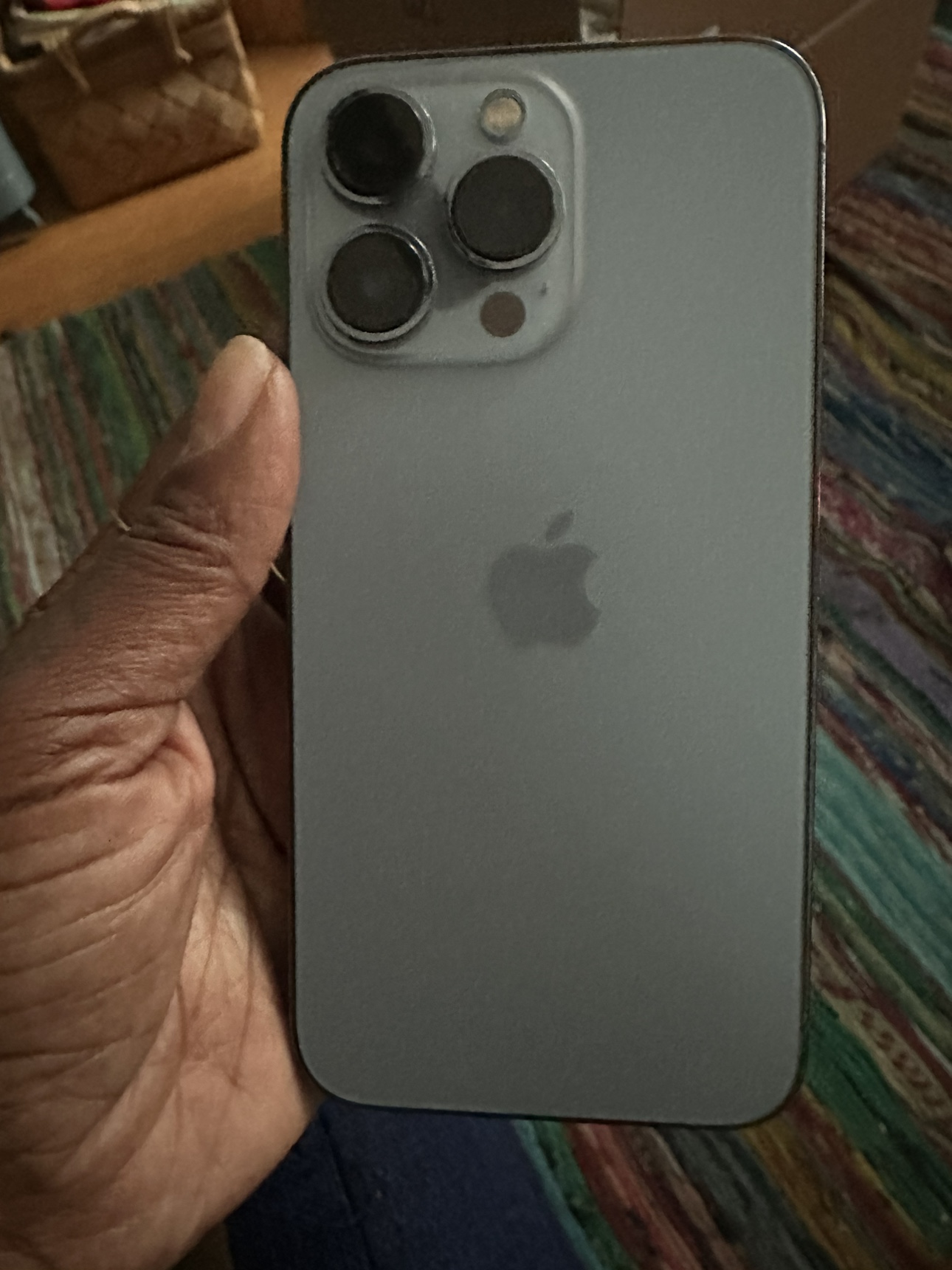 iPhone 13 Pro Max