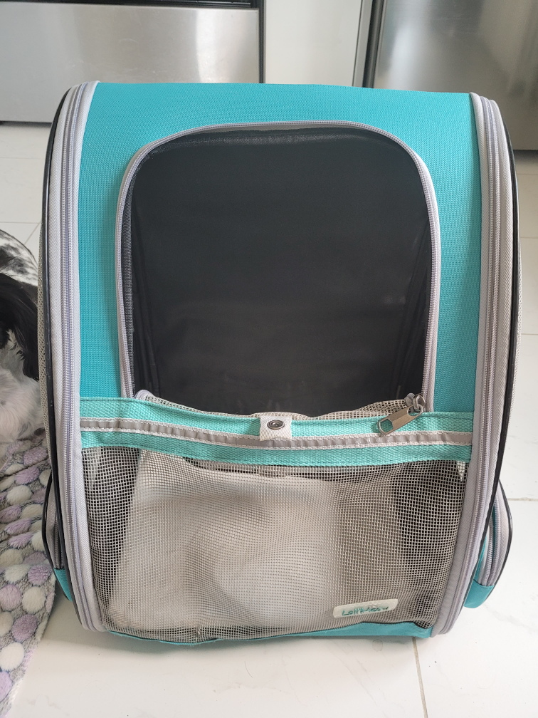 dog backpack (moving sale)