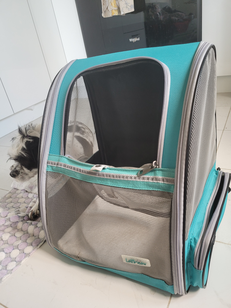 dog backpack (moving sale) - photo 2