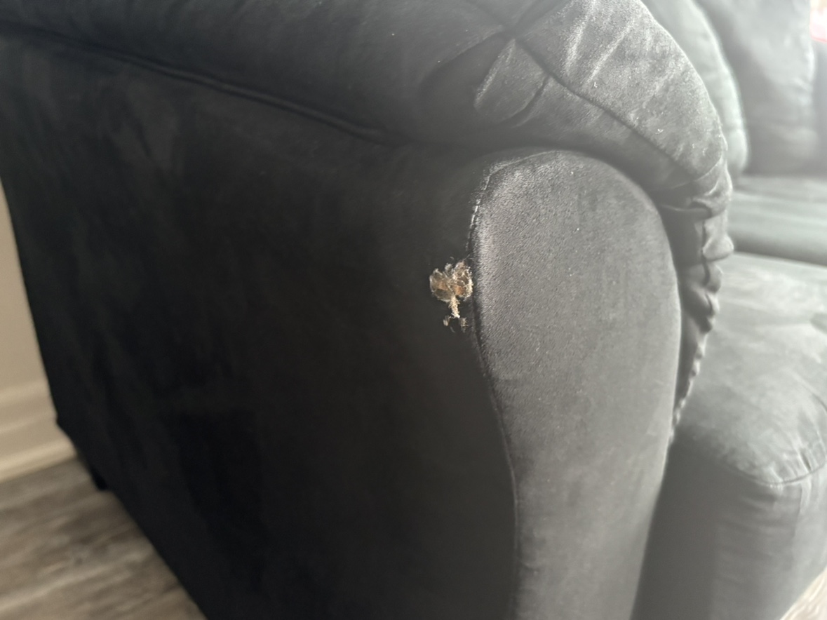 Ashley Darcy 3 Seater Couch image indicator(4)