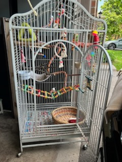 big beautiful mansion cage