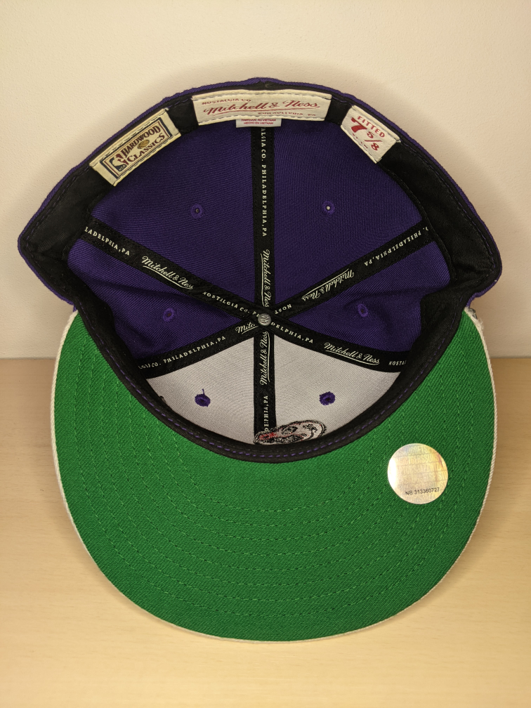 Raptors NBA HWC Mitchell & Ness Fitted Hat Cap Size 7 5/8 image indicator(3)