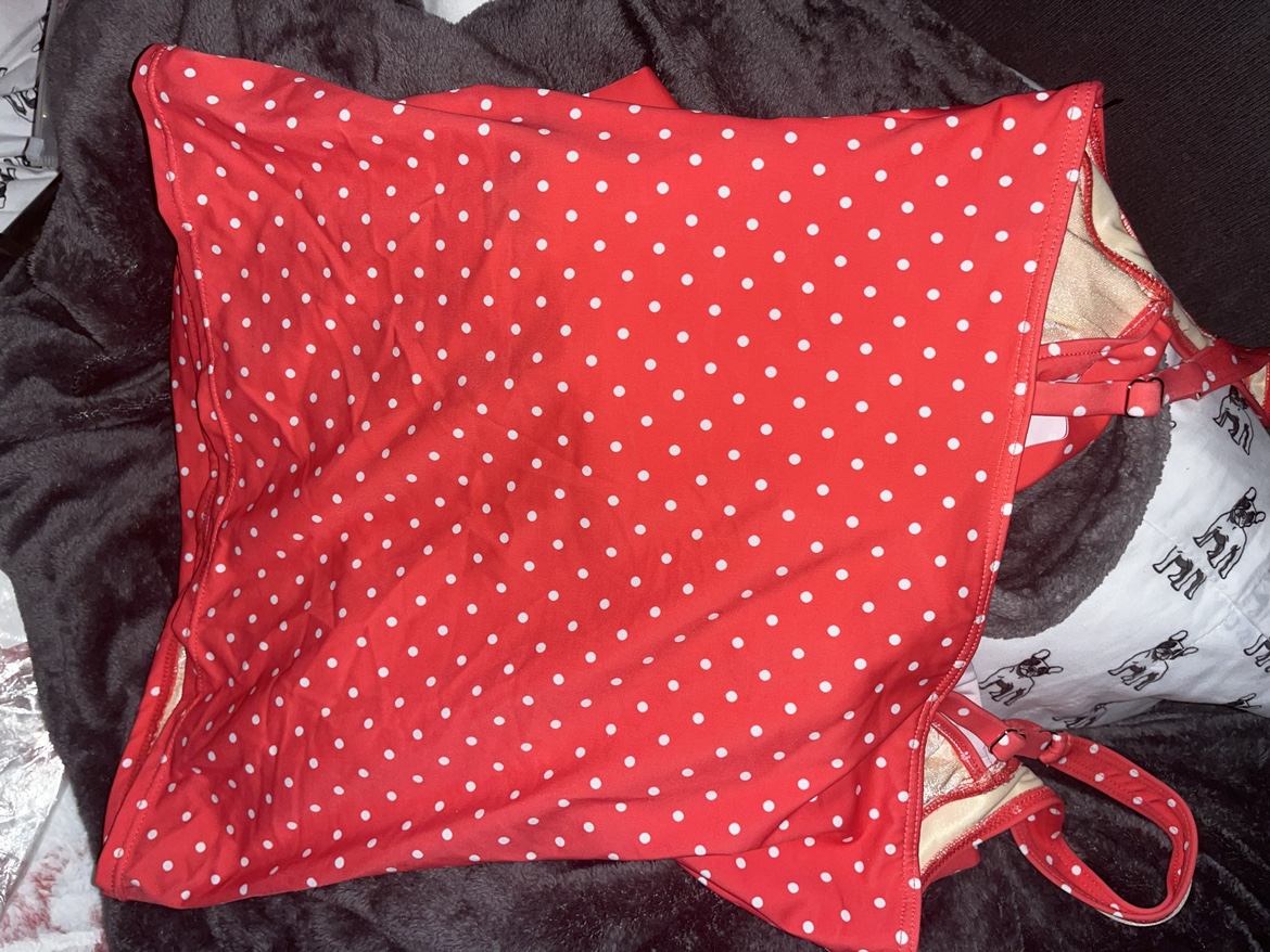 BNWT TALBOTS BATHING SUIT image indicator(2)