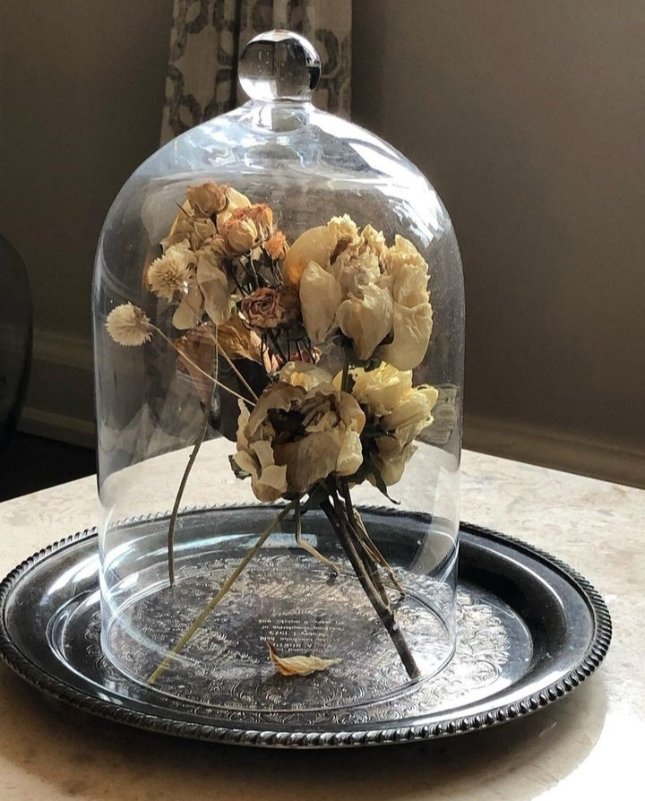 Cloche Glass Dome image indicator(4)