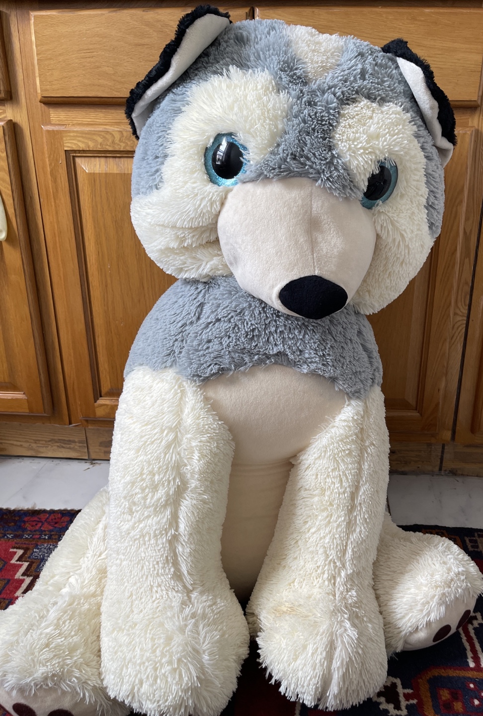 Toy