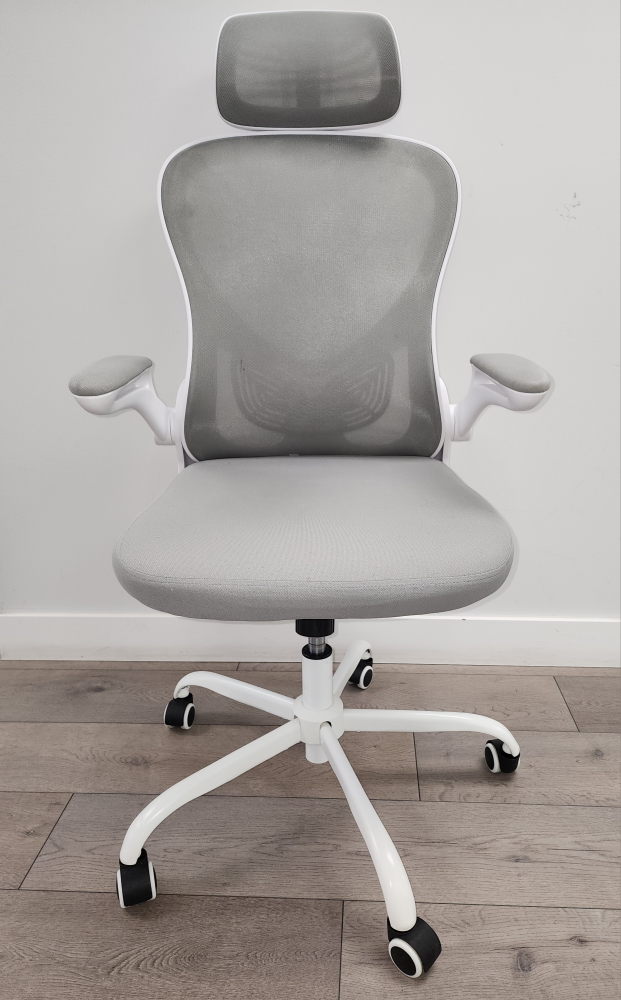 Ergonomic Chair