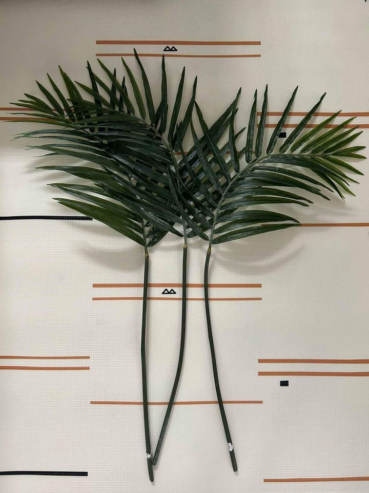 West Elm Faux Palm Leaves image indicator(3)
