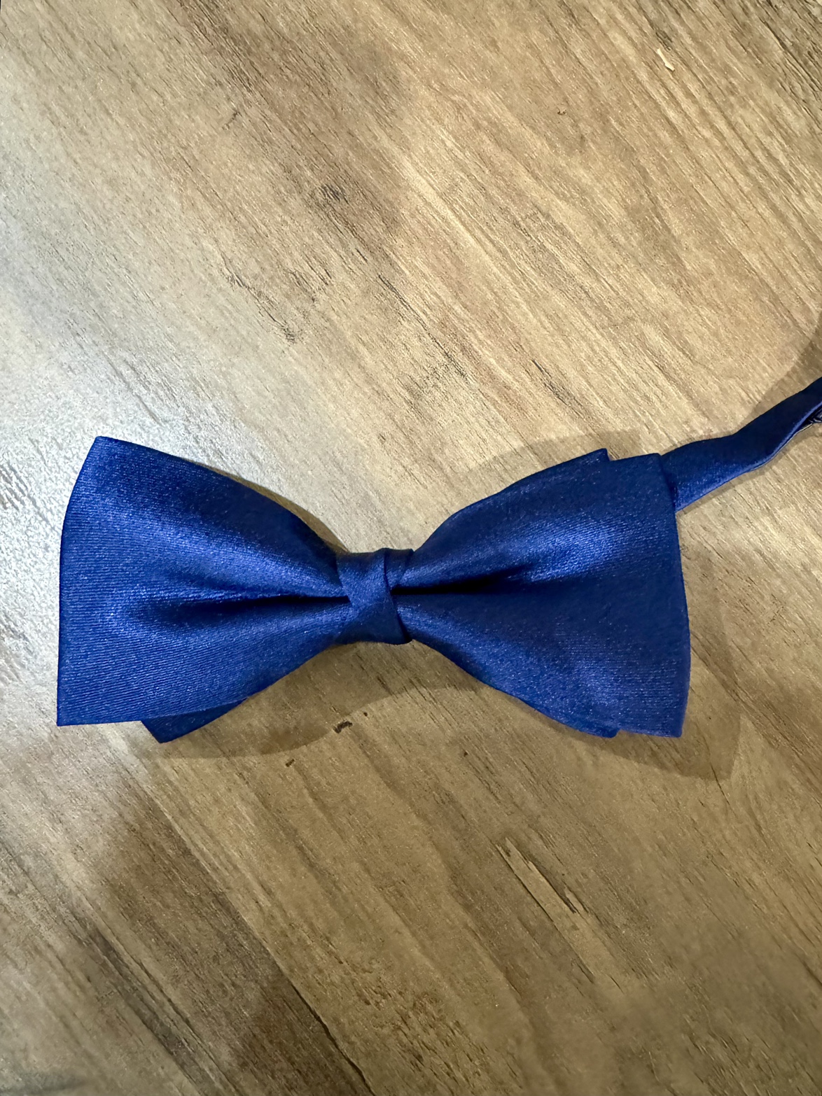 Blue Bowtie for men