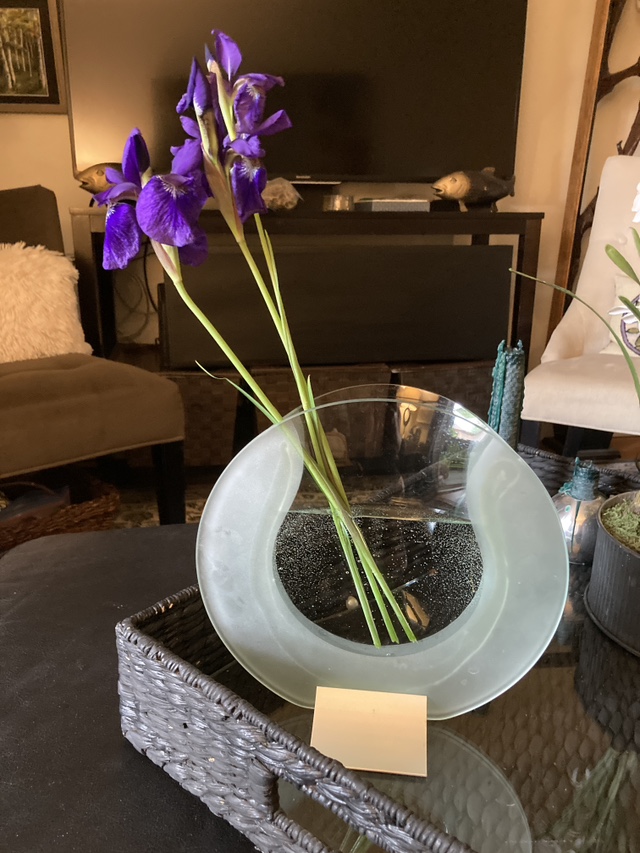 Unusual glass vase image indicator(2)