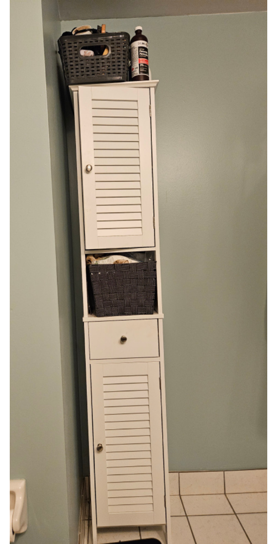 bathroom vanity/ storage cabinet - photo 4
