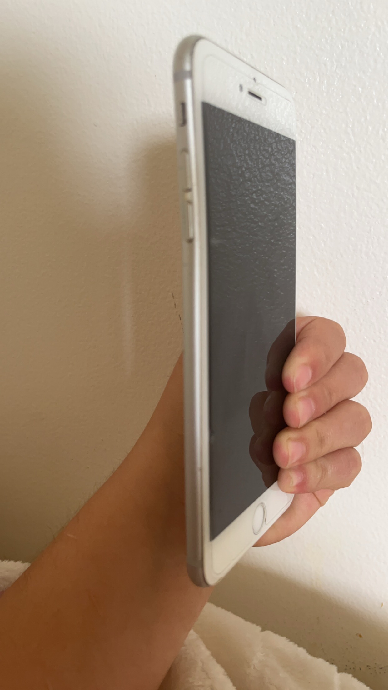 iPhone 6 Plus white image indicator(3)