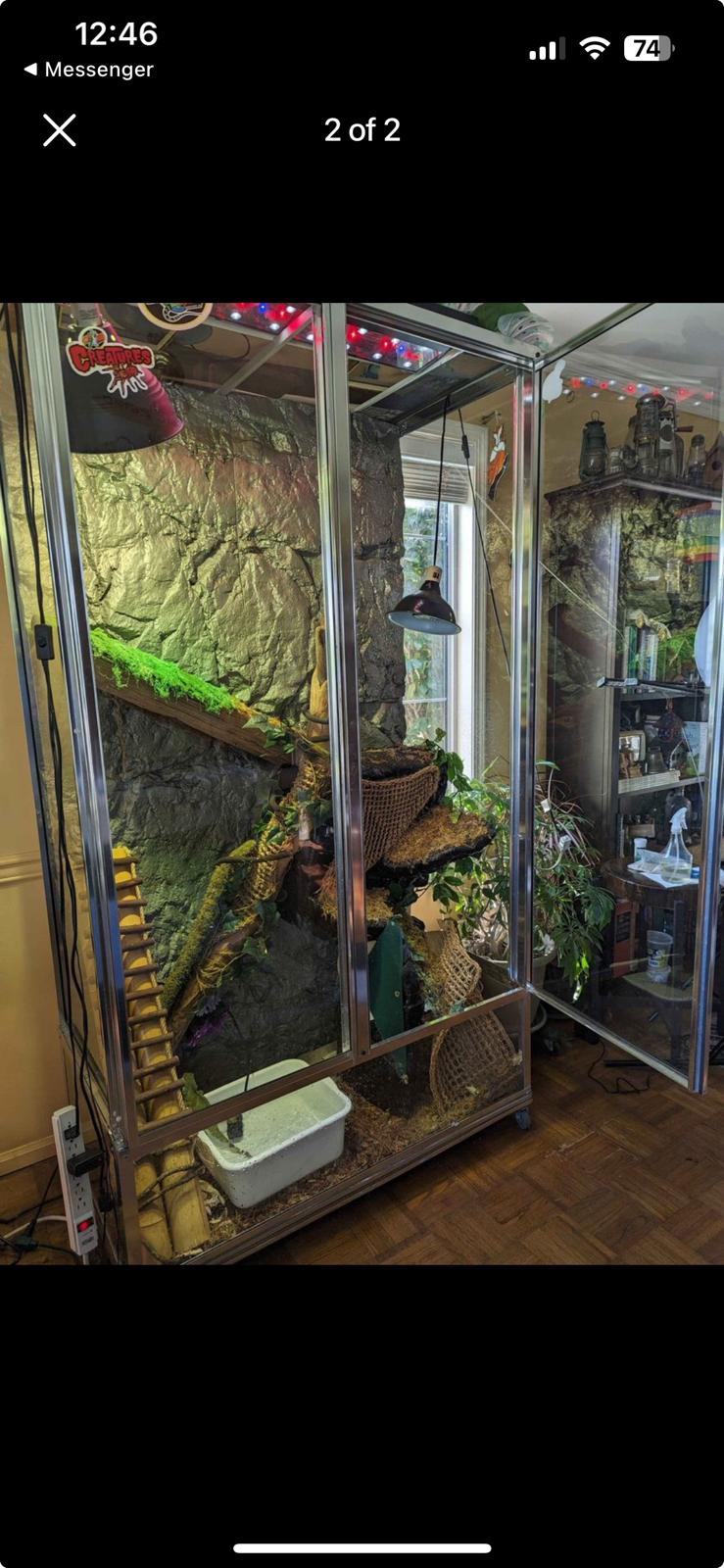 Large reptile enclosure - photo 2