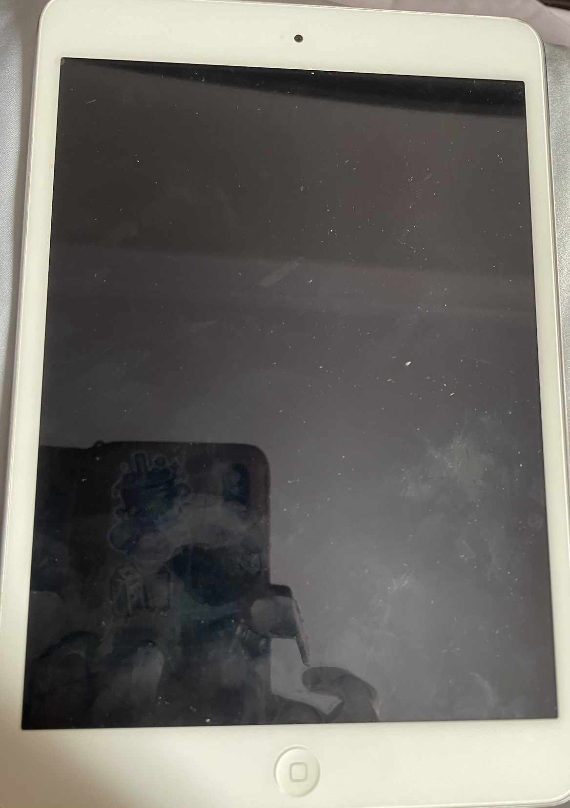 iPad mini 2