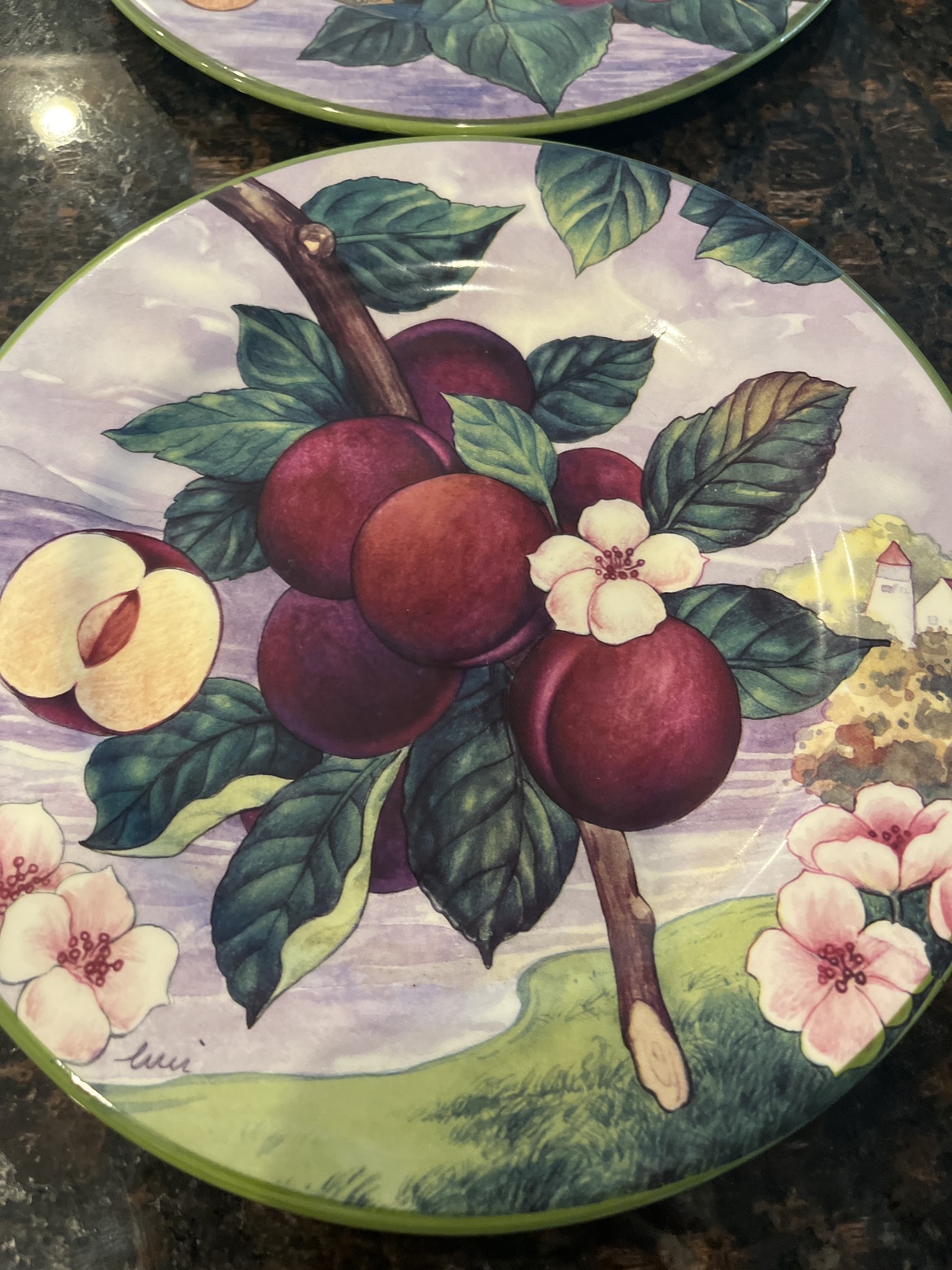 Villa D'Este Plate  Italy Hand Decorated - photo 5