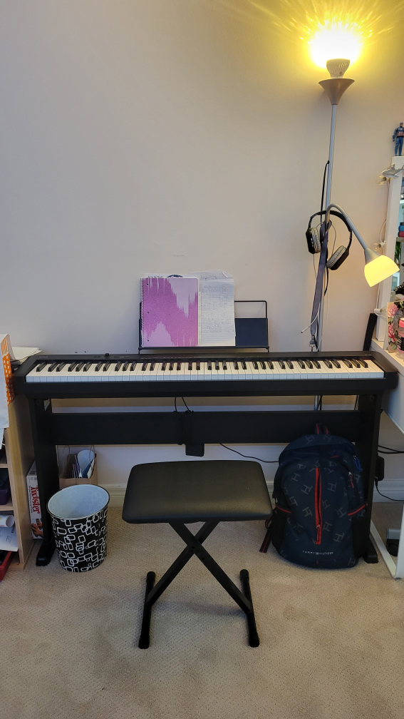 Casio Piano with stand and stool