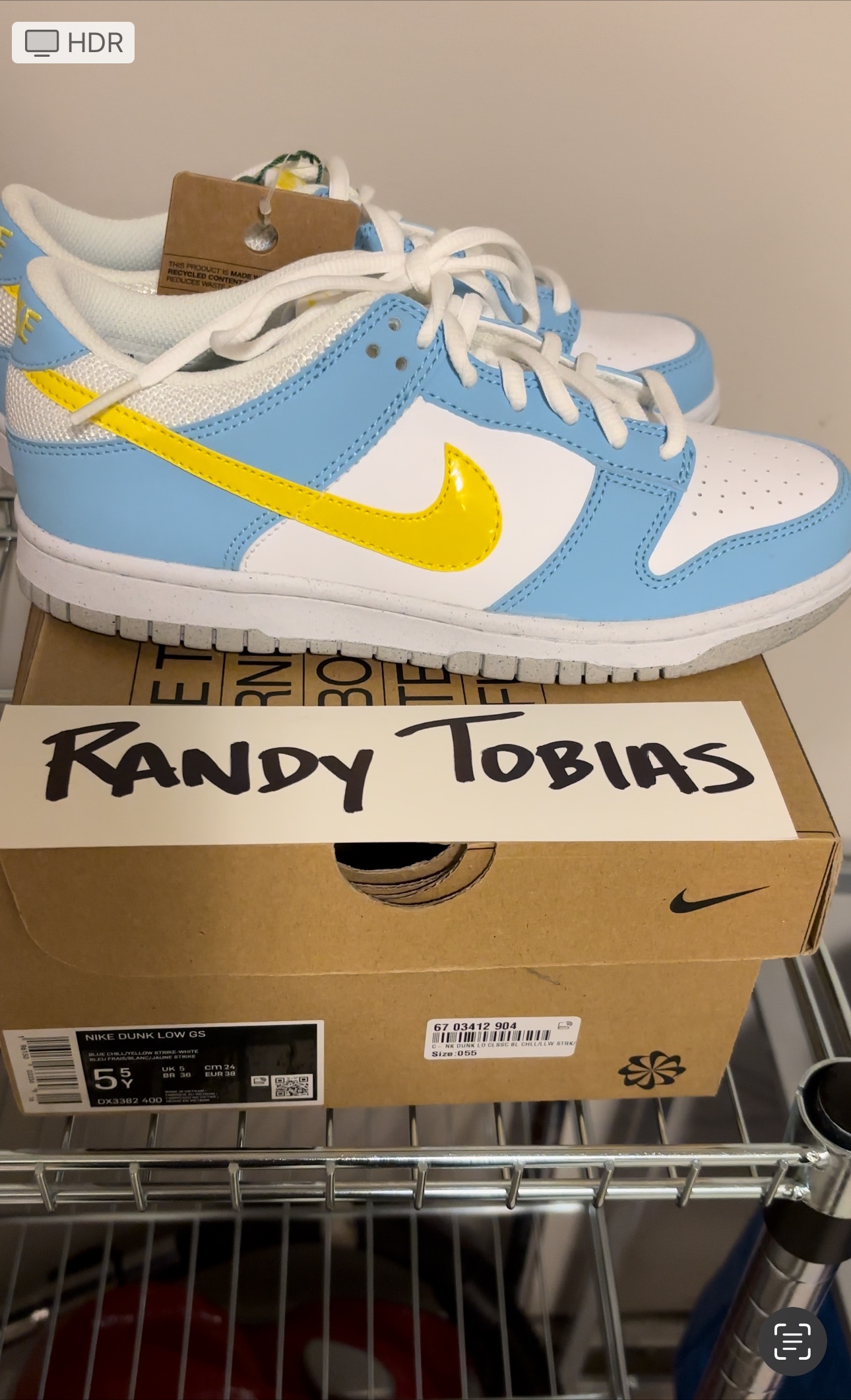 Nike Dunk (GS) Big Kid’s