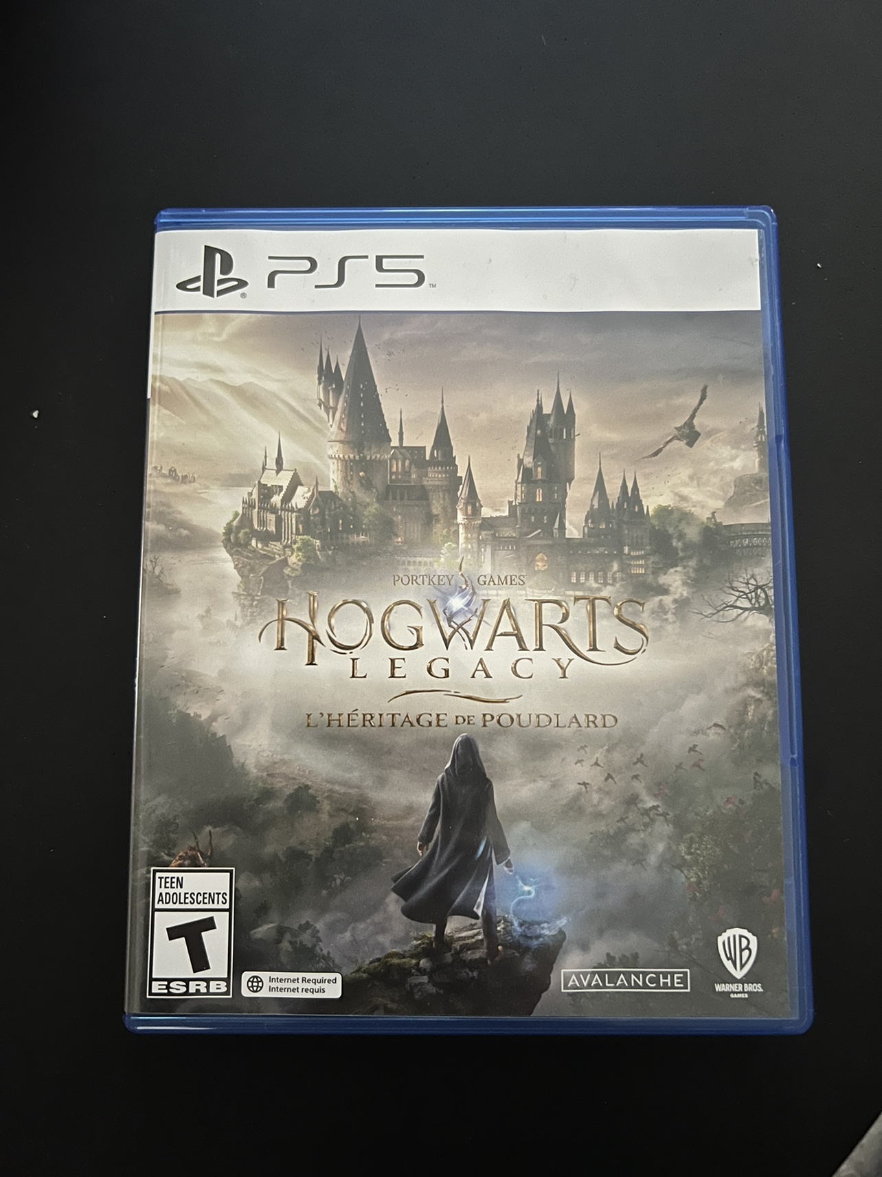 Hogwarts Legacy PS5