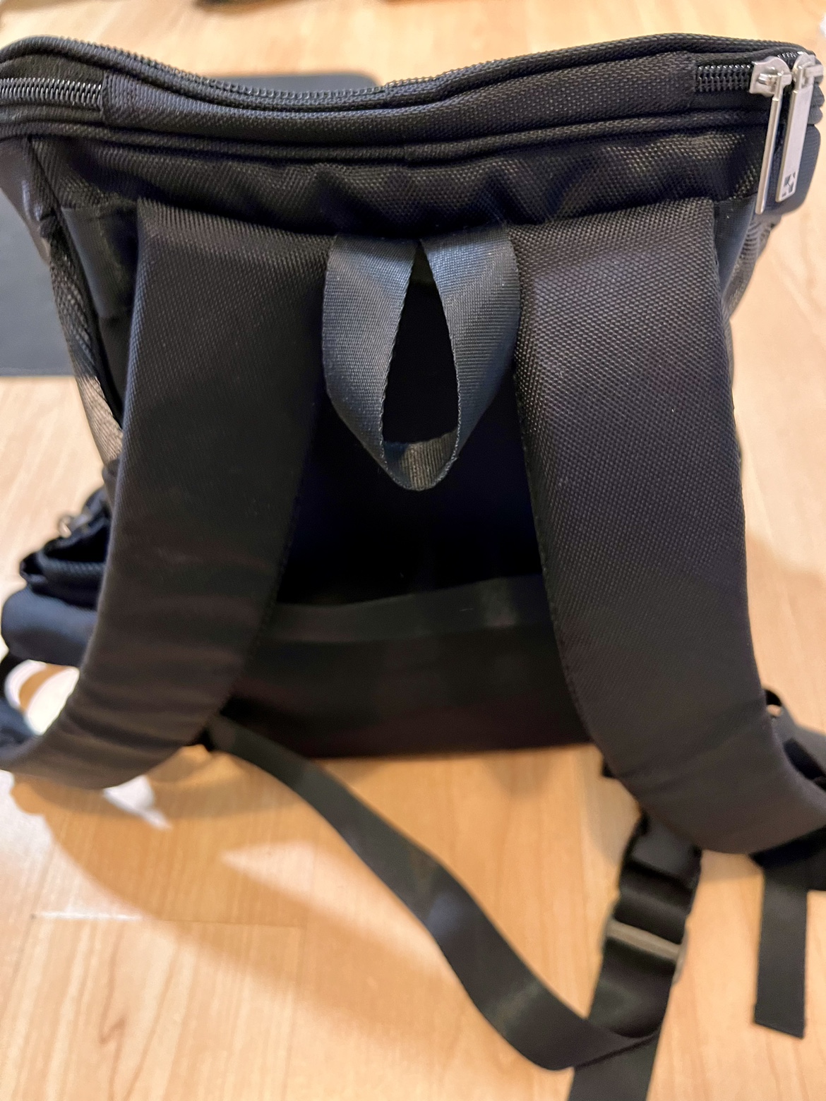 Puppy/small dog/cat backpack carrier - photo 3