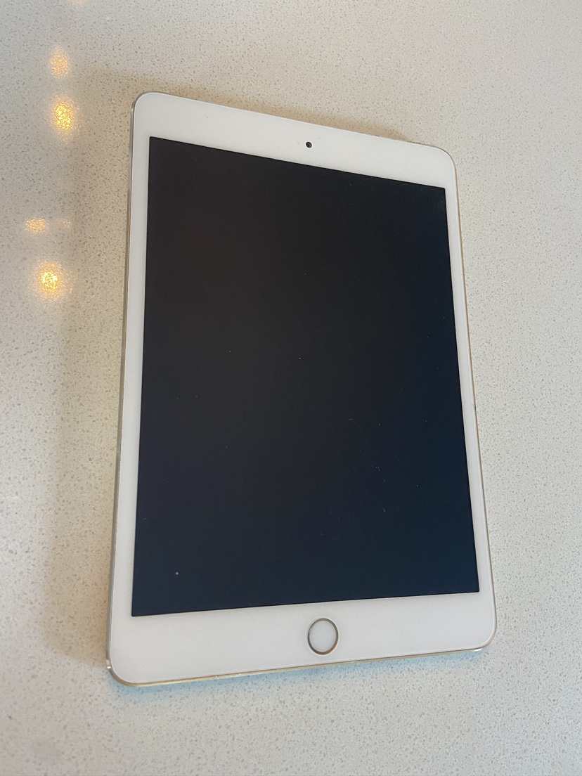 iPad mini 3