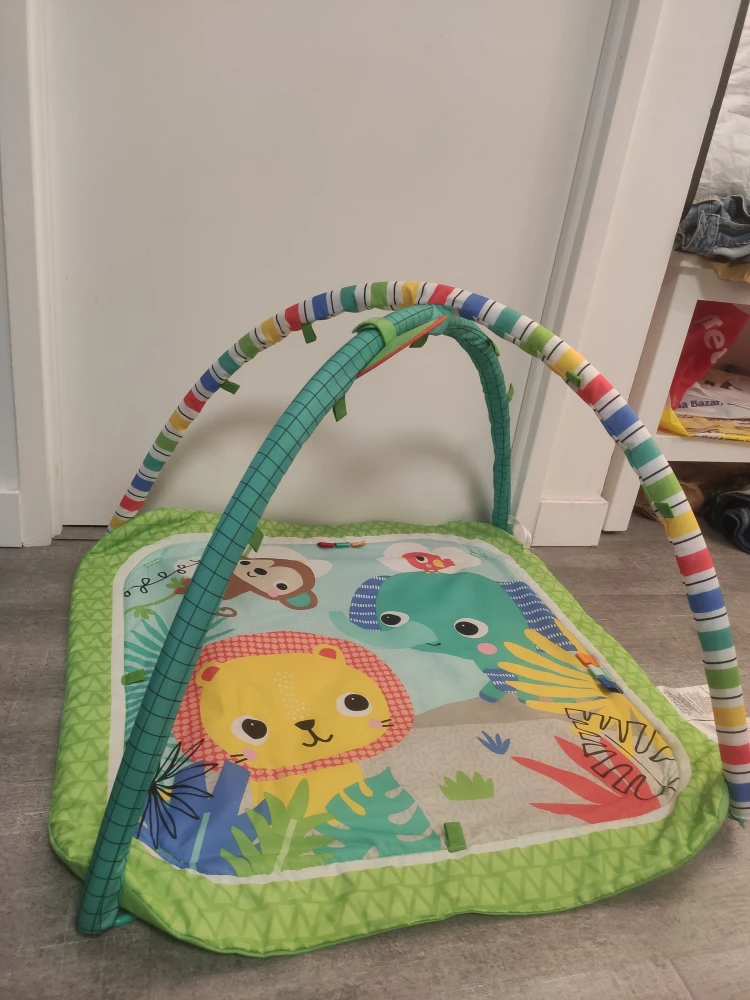 Baby Activity Gym image indicator(3)