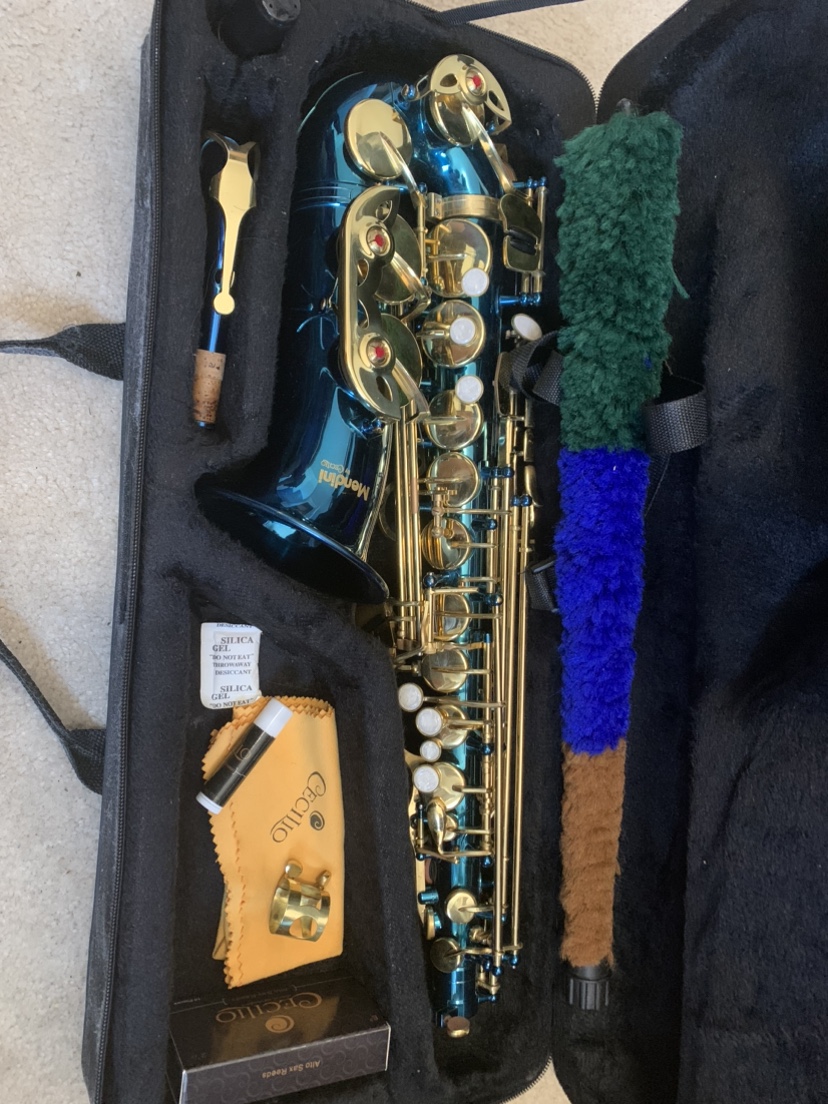 Alto Saxophone- Mendini by Cecilio - photo 2