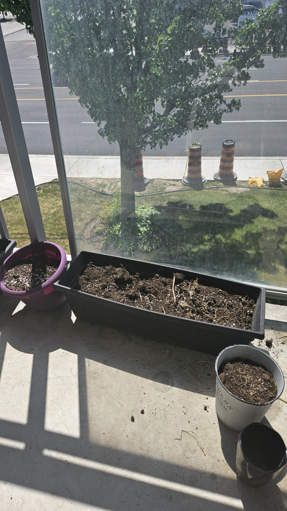 Garden Pots with Soil image indicator(3)