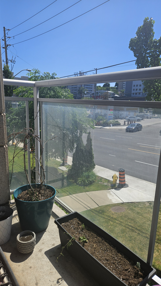 Garden Pots with Soil image indicator(5)