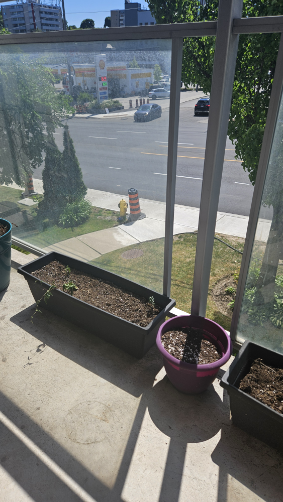 Garden Pots with Soil image indicator(6)