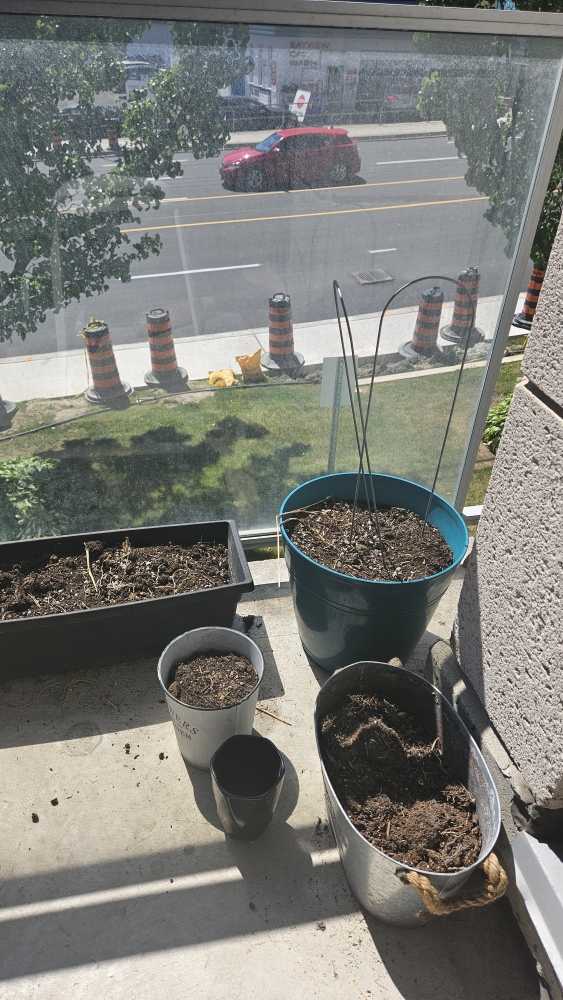 Garden Pots with Soil image indicator(8)