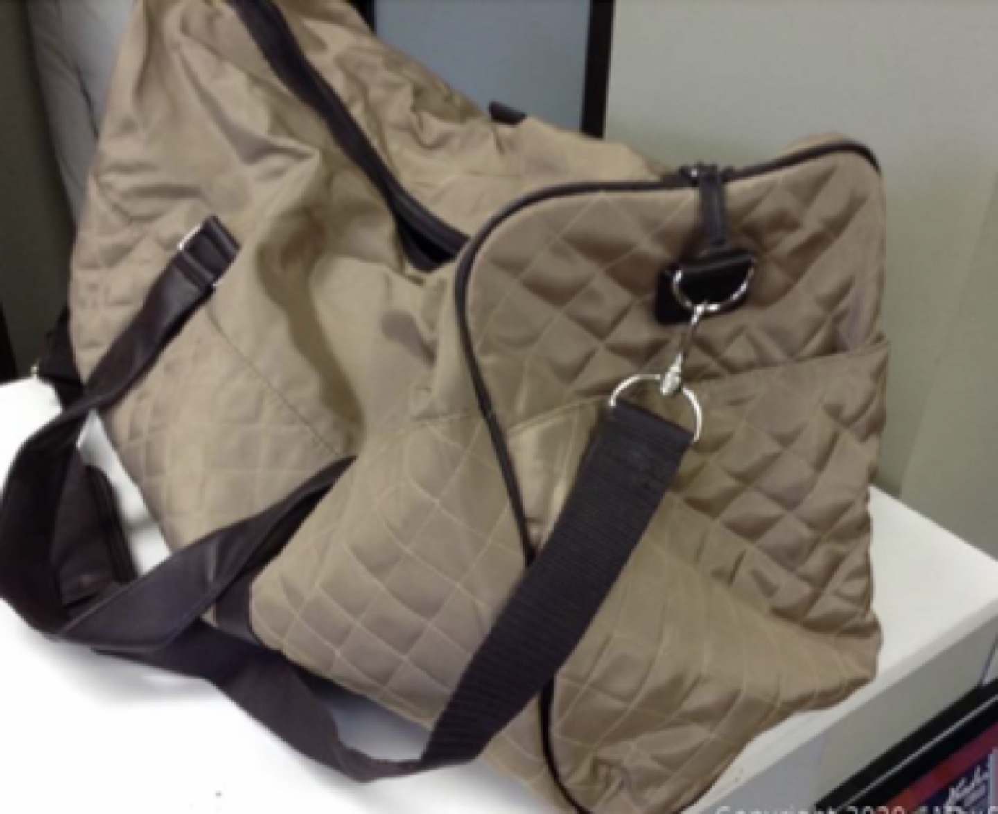 Large Light, water resistant Travel Bag image indicator(2)