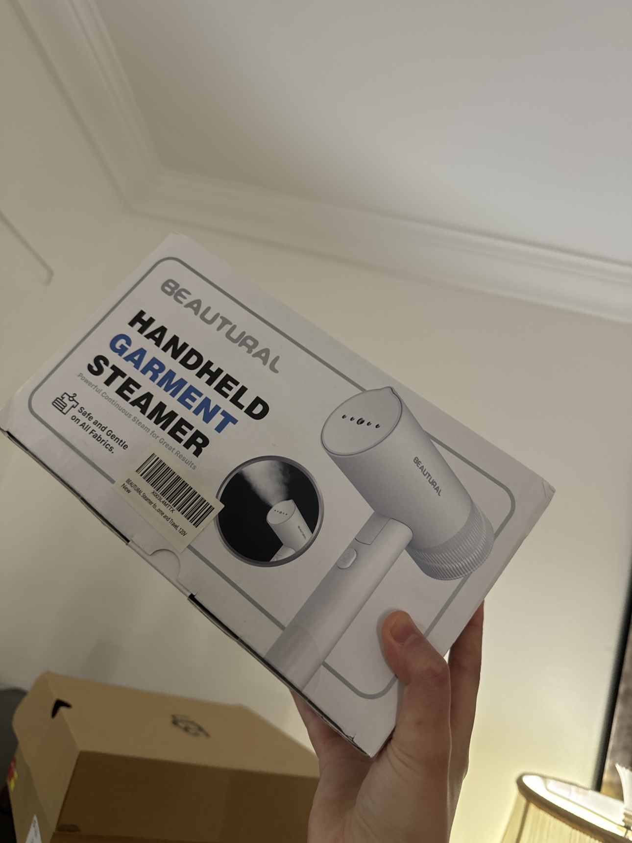 Handheld Clothes Steamer