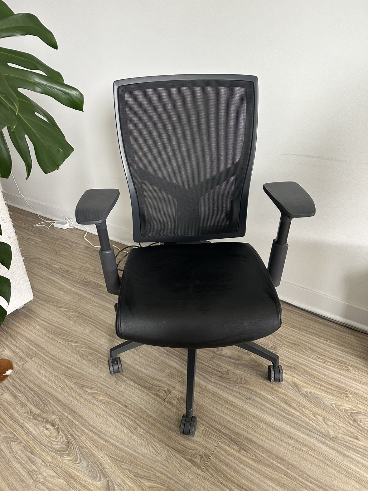 Ergonomic Office Chair