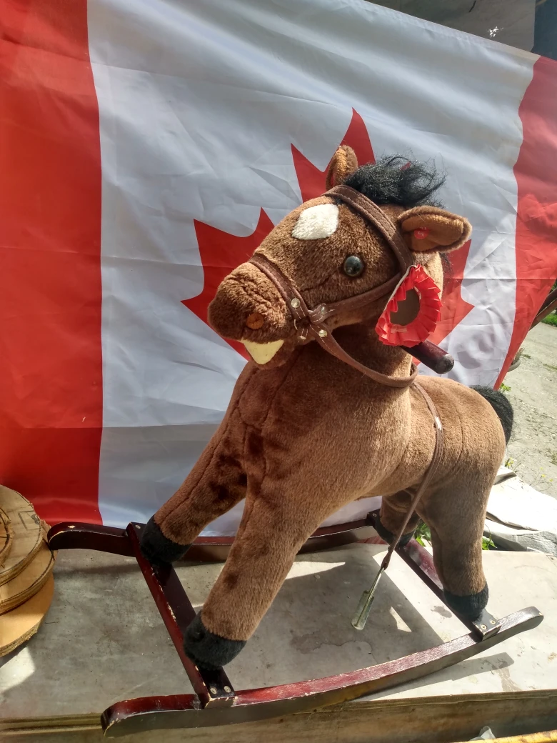 Rocking Horse  good for younger kids